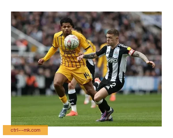 布莱顿豪掷重金签下鲁特尔英超新计划与锋线重建野心全面曝光细节