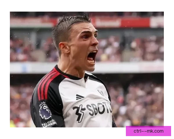 拜仁斥重金引进若昂帕利尼亚助力球队新赛季锋线